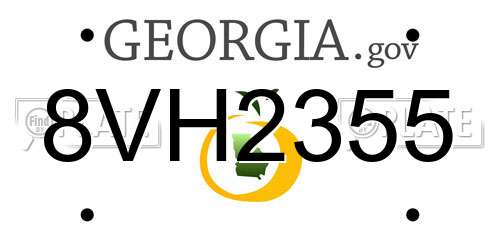8VH2355 Georgia License Plate