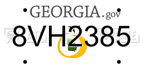 8VH2385 Georgia License Plate