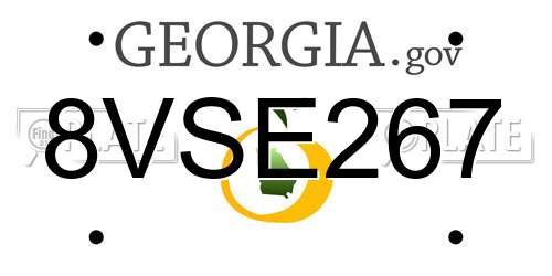 8VSE267 Georgia License Plate