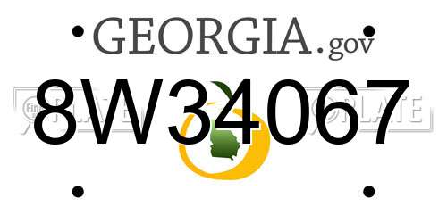 8W34067 Georgia License Plate