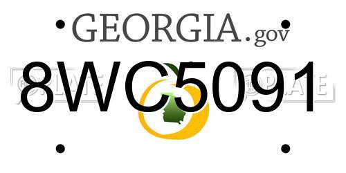 8WC5091 Georgia License Plate