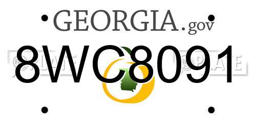 8WC8091 Georgia License Plate