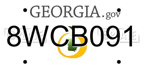 8WCB091 Georgia License Plate
