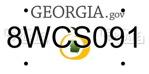 8WCS091 Georgia License Plate