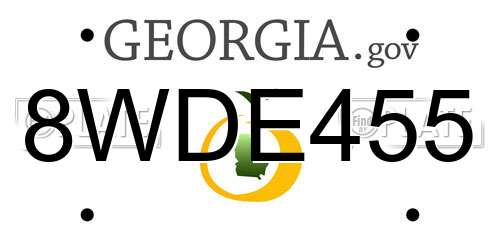 8WDE455 Georgia License Plate