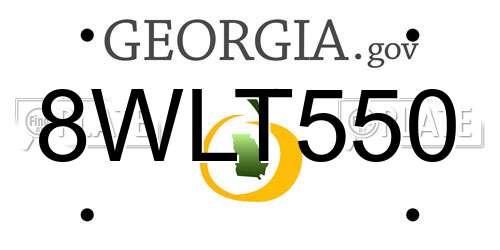 8WLT550 Georgia License Plate