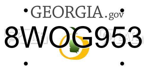 8WOG953 Georgia License Plate