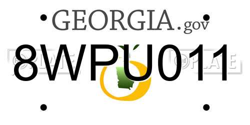 8WPU011 Georgia License Plate