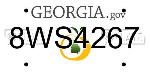 8WS4267 Georgia License Plate