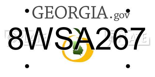 8WSA267 Georgia License Plate