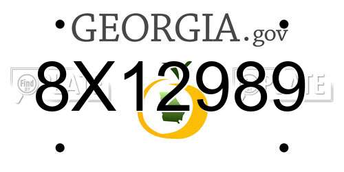 8X12989 Georgia License Plate