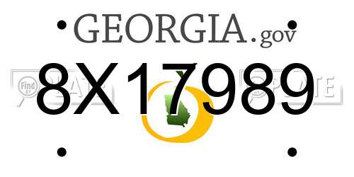 8X17989 Georgia License Plate