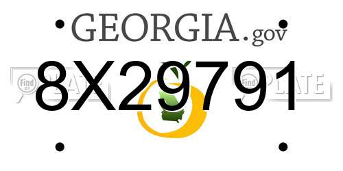 8X29791 Georgia License Plate