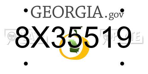 8X35519 Georgia License Plate