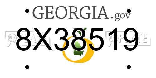 8X38519 Georgia License Plate