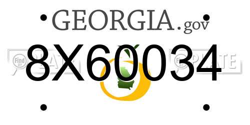 8X60034 Georgia License Plate