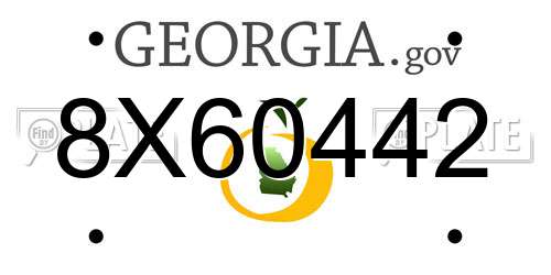 8X60442 Georgia License Plate