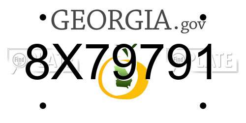8X79791 Georgia License Plate