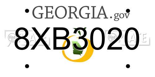 8XB3020 Georgia License Plate