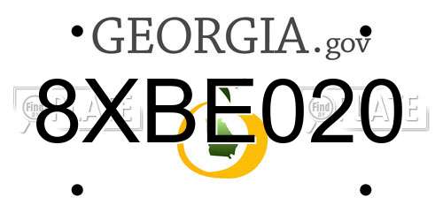 8XBE020 Georgia License Plate