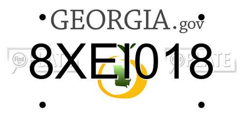 8XEI018 Georgia License Plate