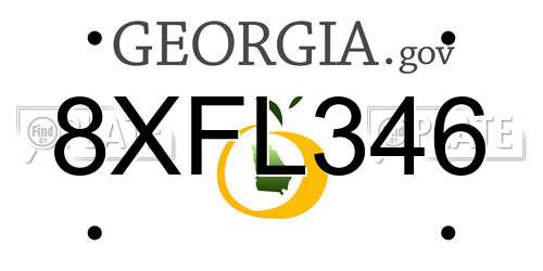 8XFL346 Georgia License Plate