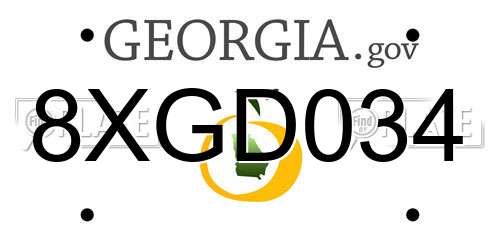 8XGD034 Georgia License Plate