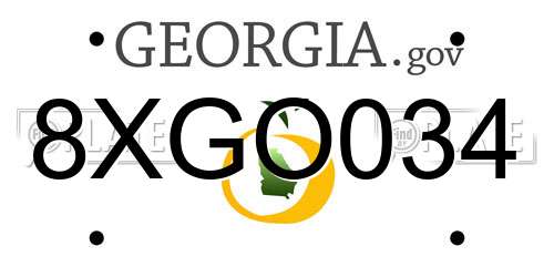 8XGO034 Georgia License Plate