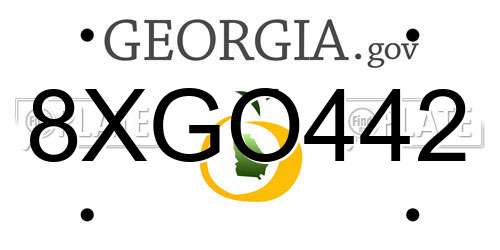 8XGO442 Georgia License Plate