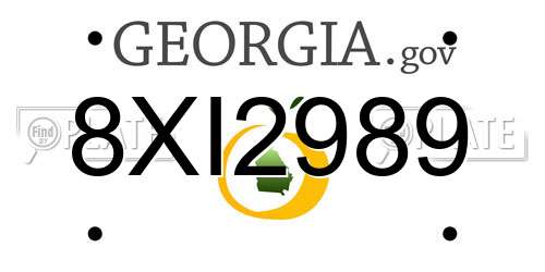 8XI2989 Georgia License Plate
