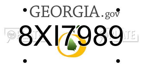 8XI7989 Georgia License Plate