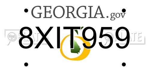 8XIT959 Georgia License Plate