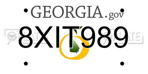 8XIT989 Georgia License Plate