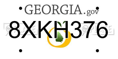 8XKH376 Georgia License Plate