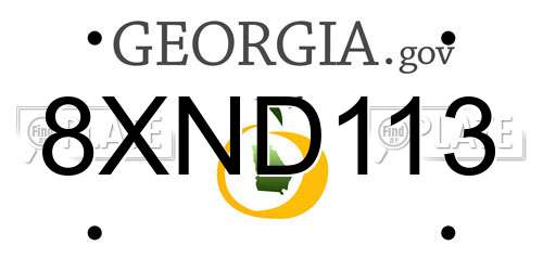 8XND113 Georgia License Plate