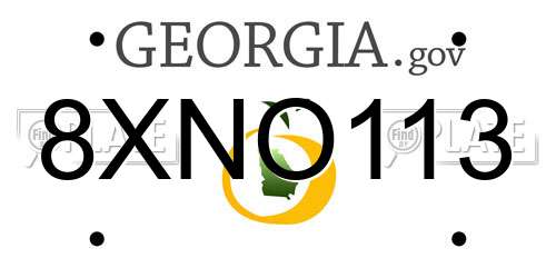 8XNO113 Georgia License Plate