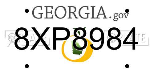 8XP8984 Georgia License Plate