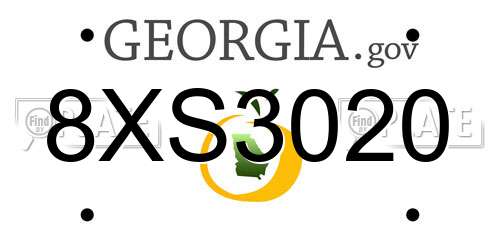 8XS3020 Georgia License Plate