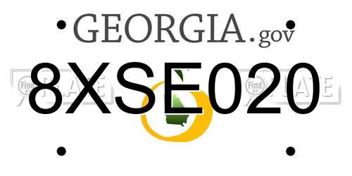 8XSE020 Georgia License Plate