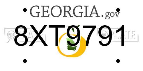 8XT9791 Georgia License Plate