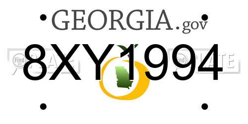 8XY1994 Georgia License Plate