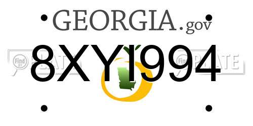 8XYI994 Georgia License Plate