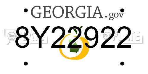 8Y22922 Georgia License Plate
