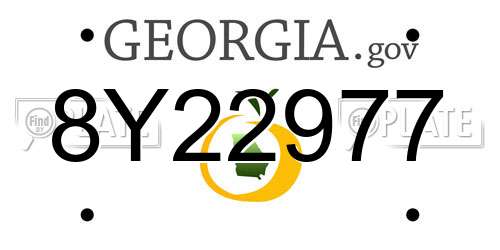 8Y22977 Georgia License Plate