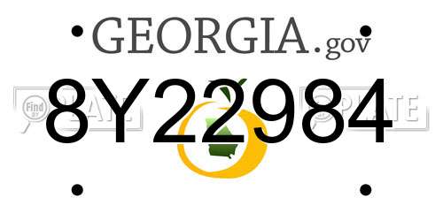 8Y22984 Georgia License Plate