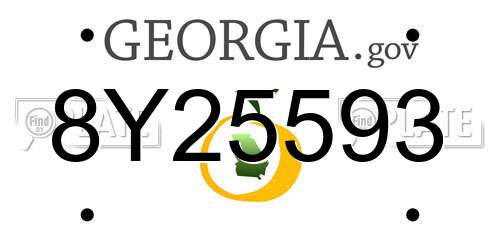 8Y25593 Georgia License Plate
