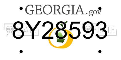 8Y28593 Georgia License Plate
