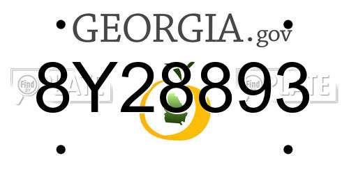 8Y28893 Georgia License Plate
