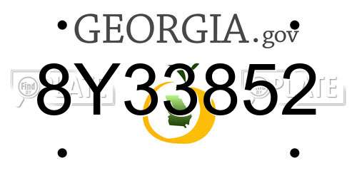 8Y33852 Georgia License Plate