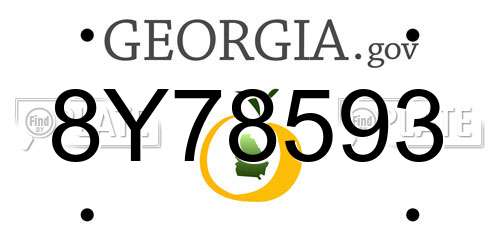 8Y78593 Georgia License Plate
